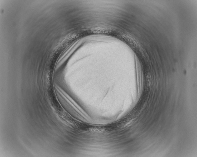 X0000087740690200706041037