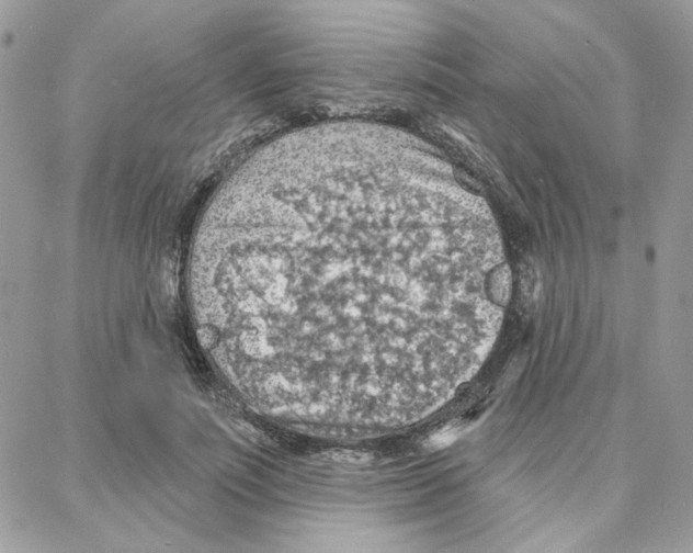 X0000087740691200706041037