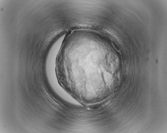 X0000087740692200706041037