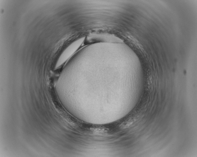 X0000087740693200706041037