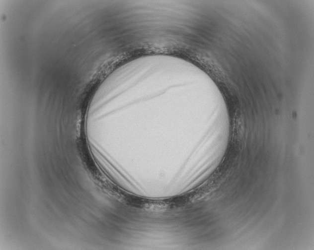 X0000087740694200706041037