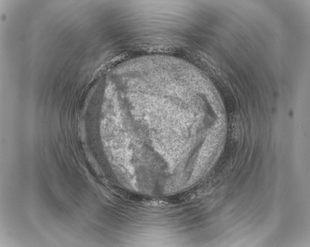 X0000087740695200706041037