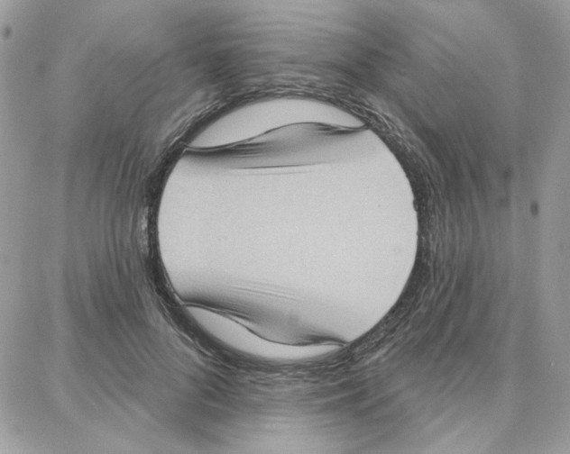 X0000087740696200706041037