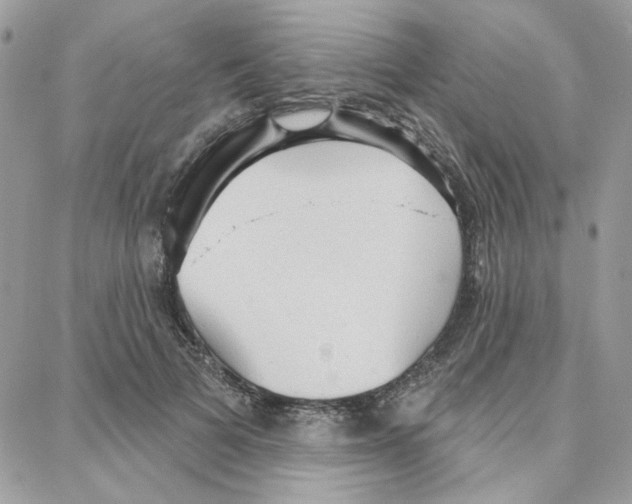 X0000087740697200706041037