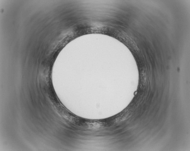 X0000087740698200706041037