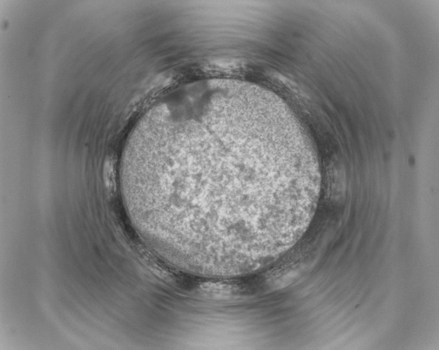 X0000087740699200706041037