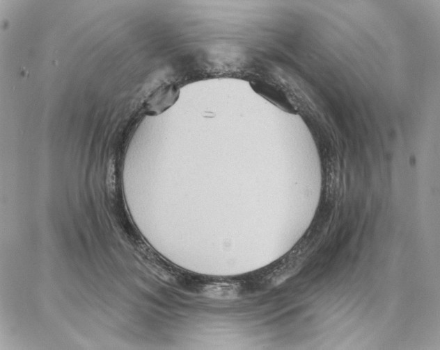 X0000087740700200706041037