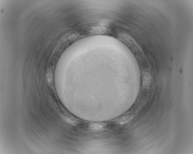 X0000087740701200706041037