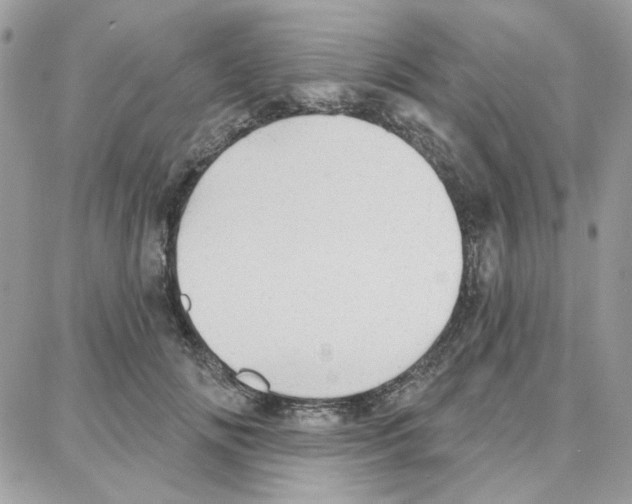 X0000087740702200706041037