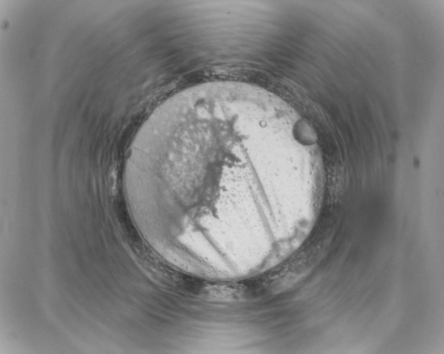 X0000087740703200706041037