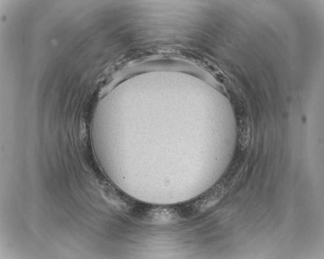 X0000087740704200706041037