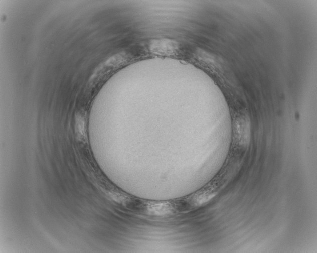 X0000087740705200706041037