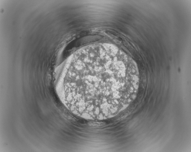 X0000087740707200706041037