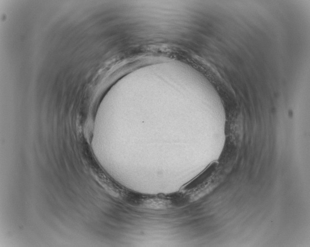 X0000087740708200706041037