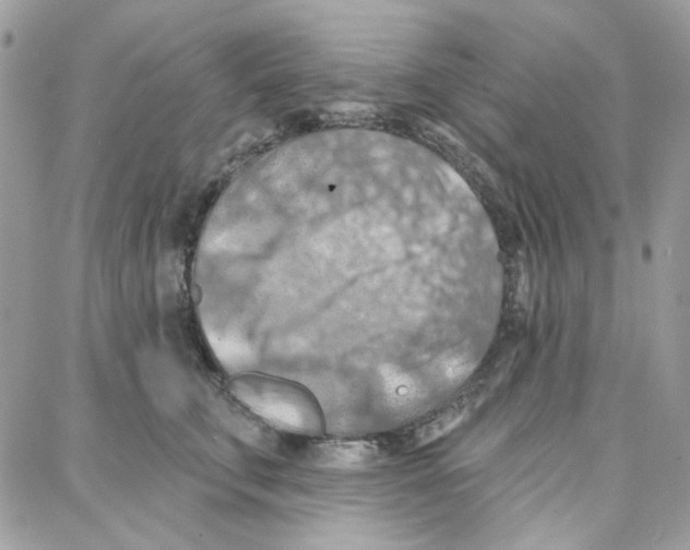 X0000087740711200706041037