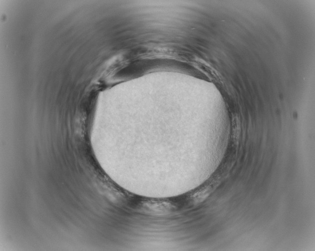 X0000087740712200706041037