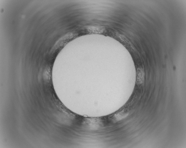 X0000087740713200706041037