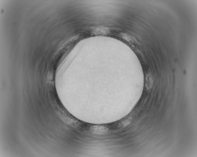 X0000087740714200706041037