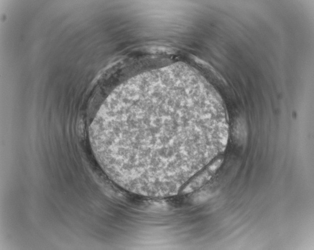 X0000087740715200706041037