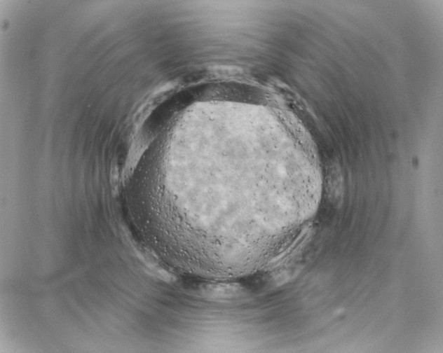 X0000087740716200706041037