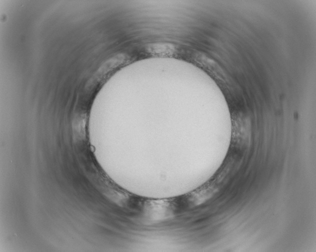 X0000087740717200706041037