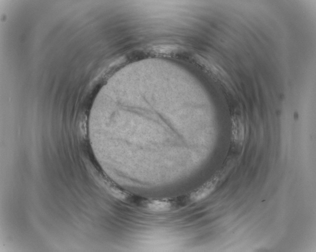 X0000087740718200706041037