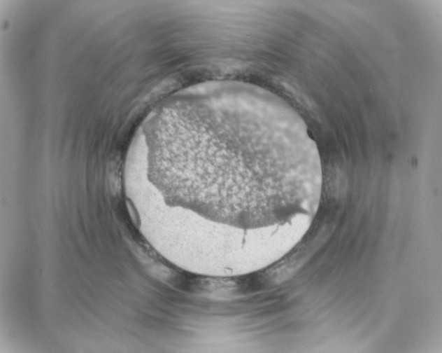 X0000087740719200706041037