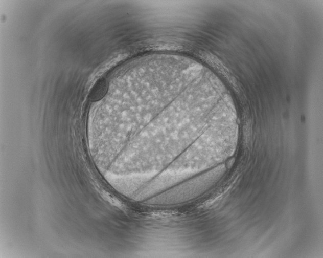 X0000087740721200706041036