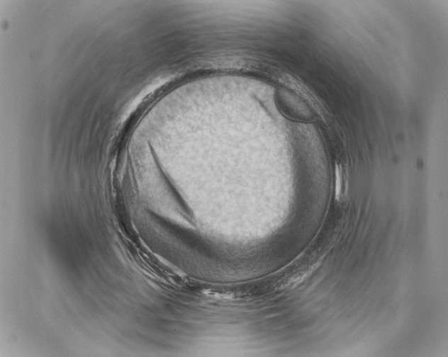 X0000087740723200706041036