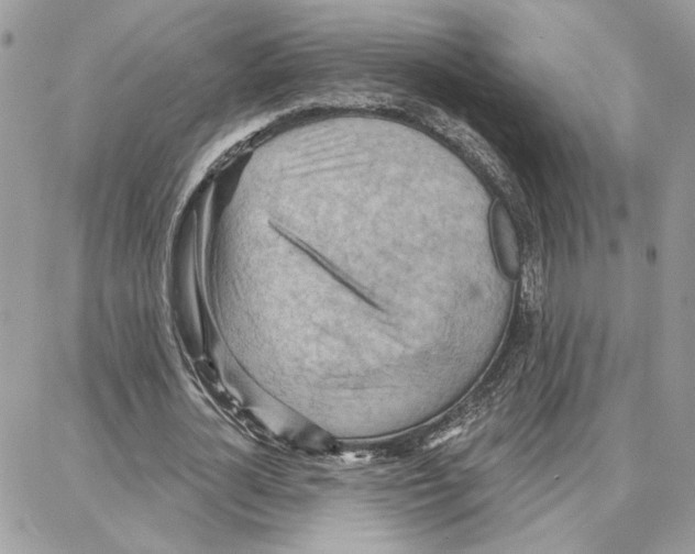 X0000087740724200706041036