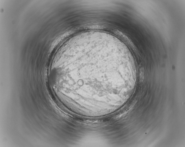 X0000087740725200706041036