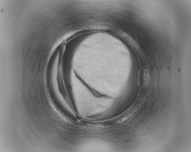 X0000087740726200706041036