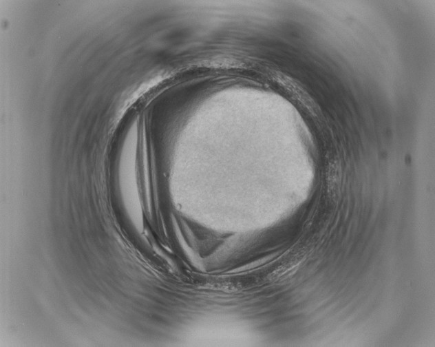 X0000087740727200706041036