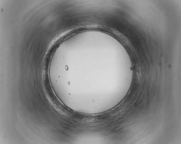 X0000087740728200706041036