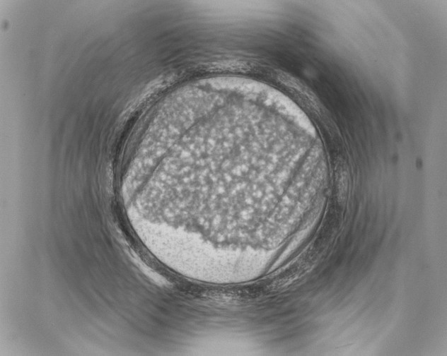 X0000087740729200706041036