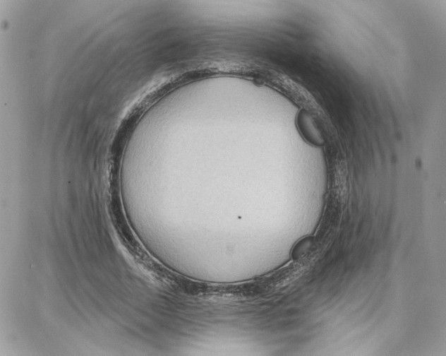 X0000087740730200706041036