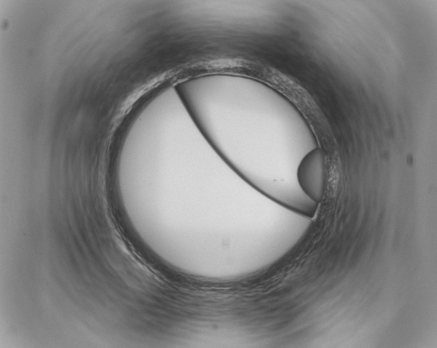 X0000087740732200706041036