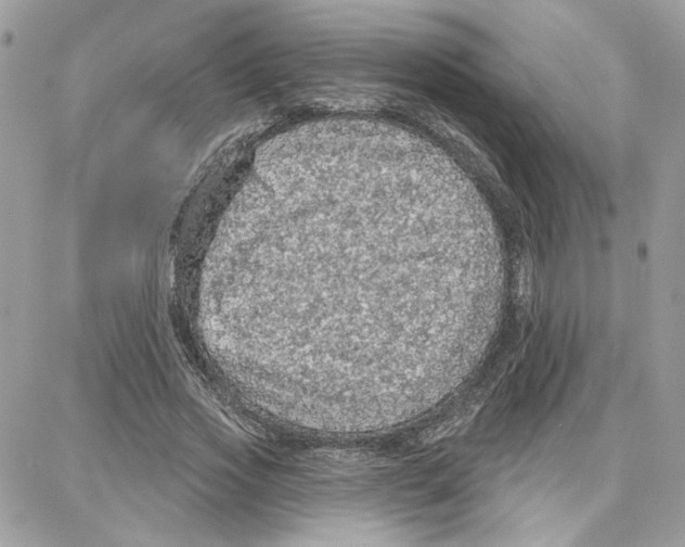 X0000087740733200706041036