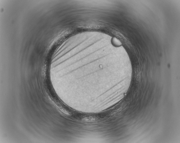 X0000087740735200706041036