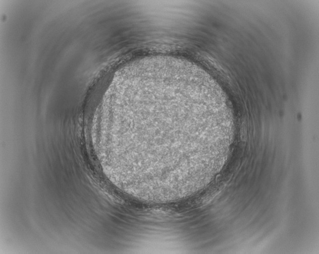 X0000087740737200706041036