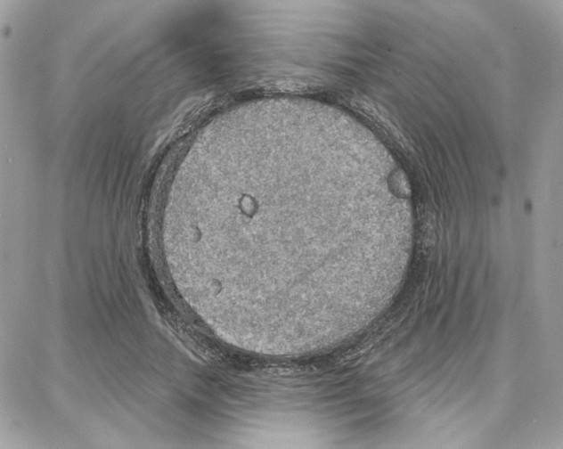 X0000087740738200706041036