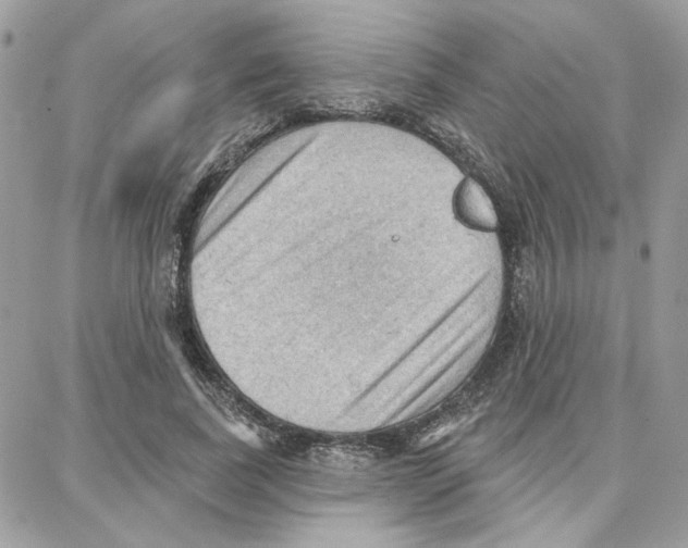 X0000087740739200706041036