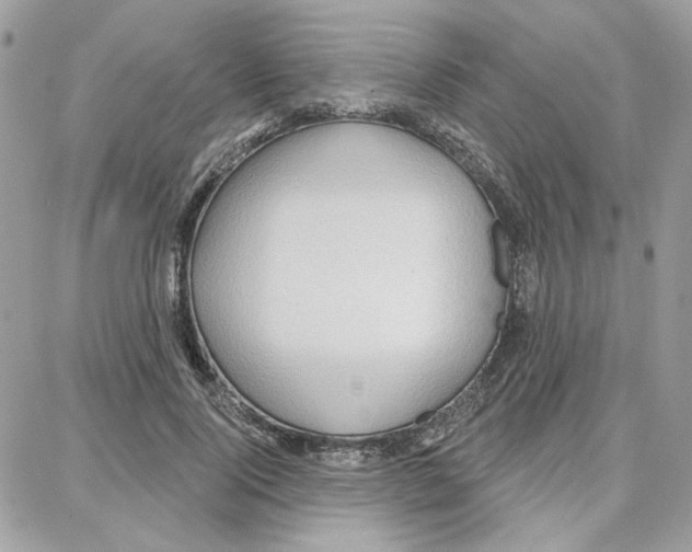 X0000087740740200706041036