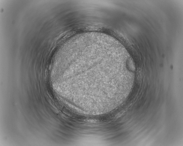 X0000087740741200706041036