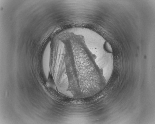 X0000087740742200706041036