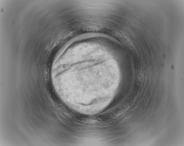 X0000087740743200706041036