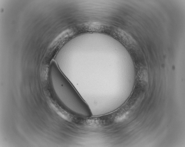 X0000087740744200706041036