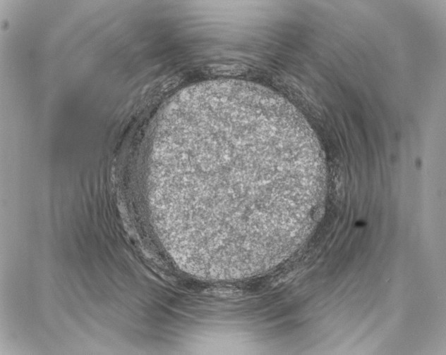 X0000087740745200706041036