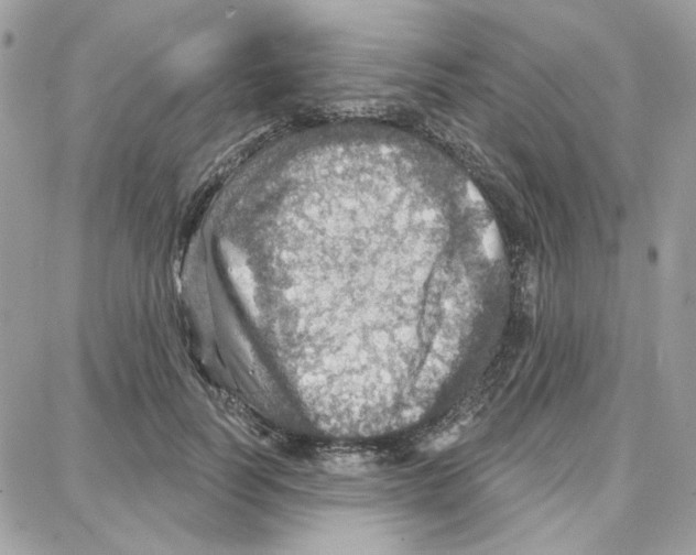 X0000087740746200706041036