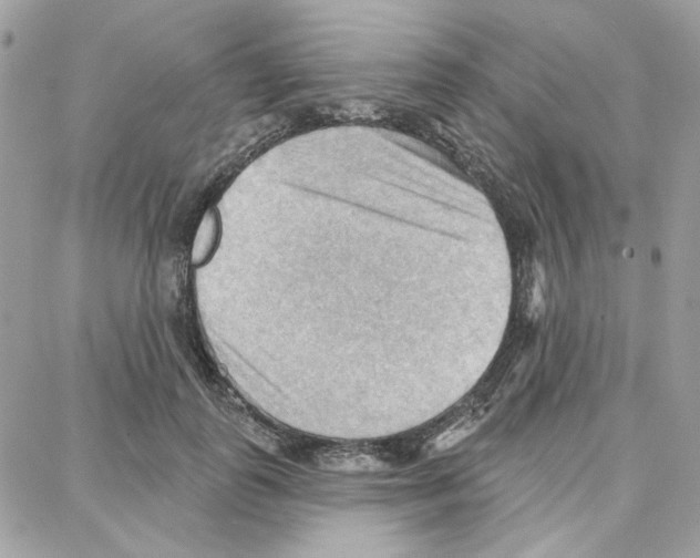 X0000087740747200706041036